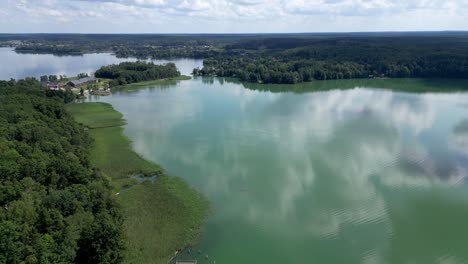 lake surrounded by forests during the full summer. aerial view from a drone