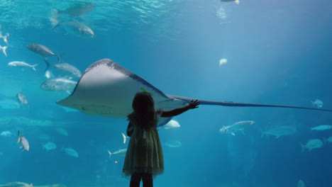 Niña-En-El-Acuario-Mirando-Mantarraya-Nadando-En-El-Tanque-Niño-Curioso-Observando-Animales-Marinos-En-El-Oceanario-Divirtiéndose-Aprendiendo-Sobre-La-Vida-Marina-En-El-Hábitat-Acuático