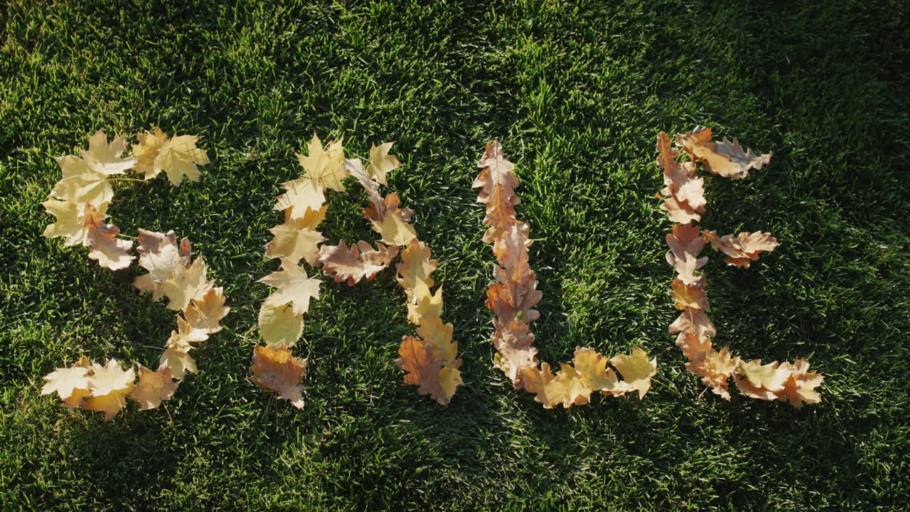 слово продажа выложено желтыми осенними листьями на зеленой траве. ветер уносит листья