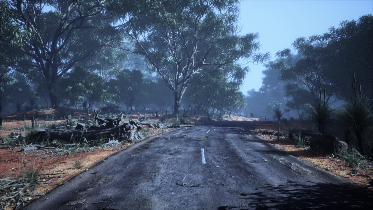 오스트레일리아 외을 가로지르는 안개가 가득한 도로