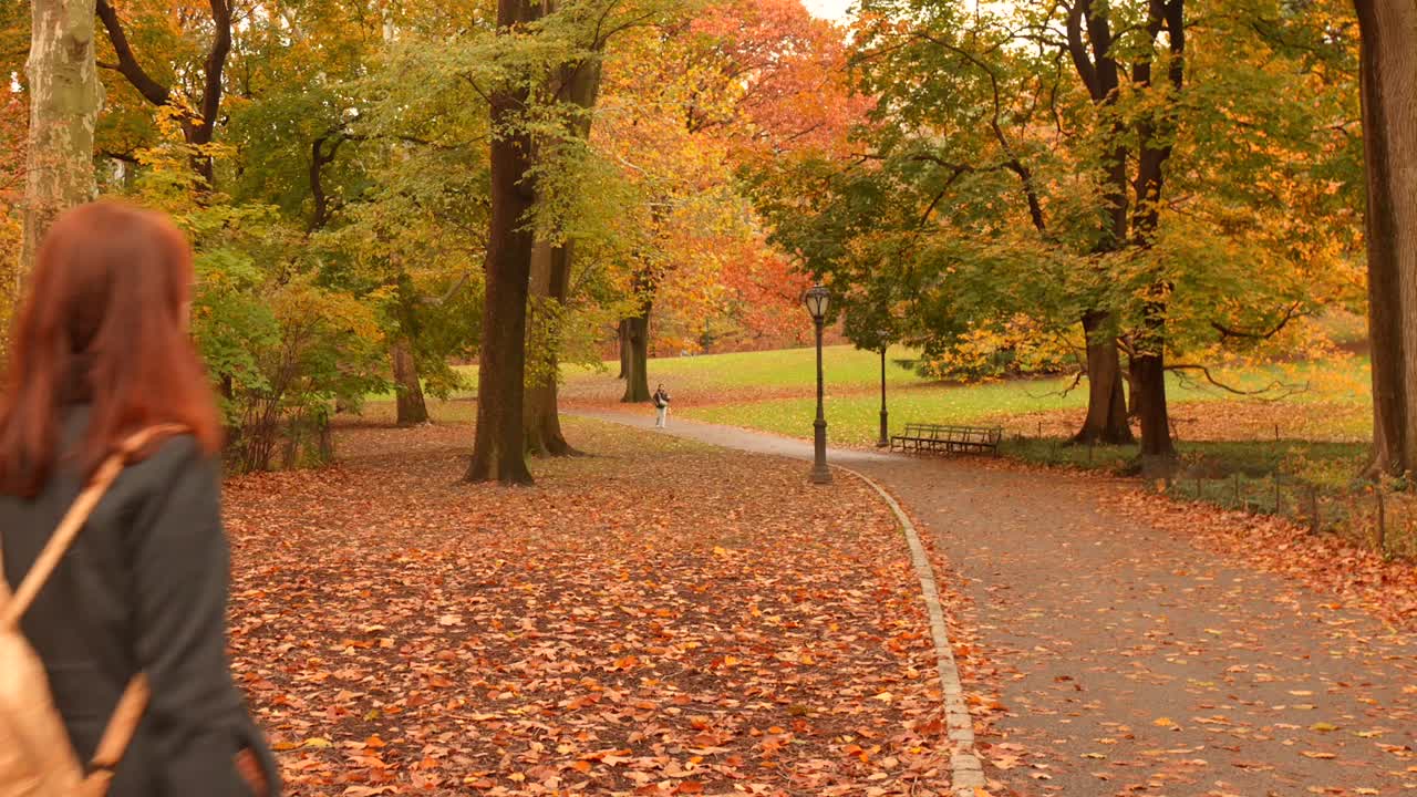 A Woman With Backpack Is Walking On Pathways At Central Park During Fall Season In New York, USA. Static Shot