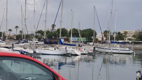 person walking near fishing boats anchored at beautiful quiet marina port