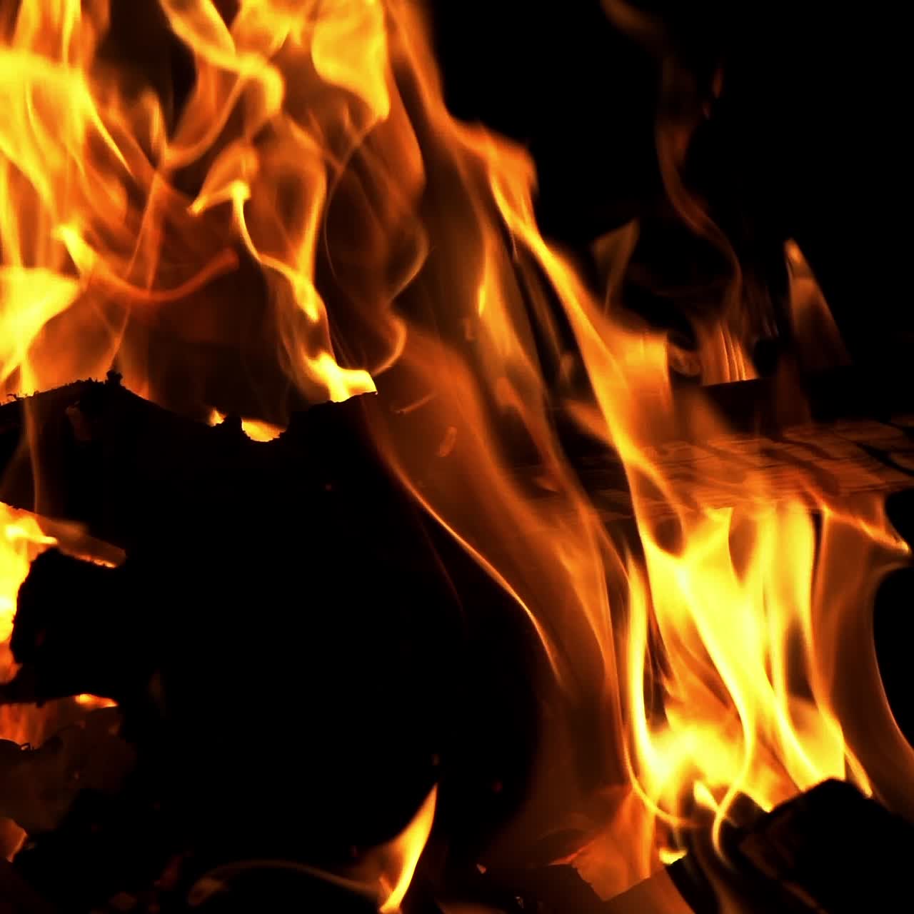 Bonfire. Slow motion. Real fire flame on a black background