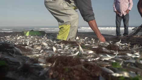 Pez-Saltando-En-La-Red-De-Pesca