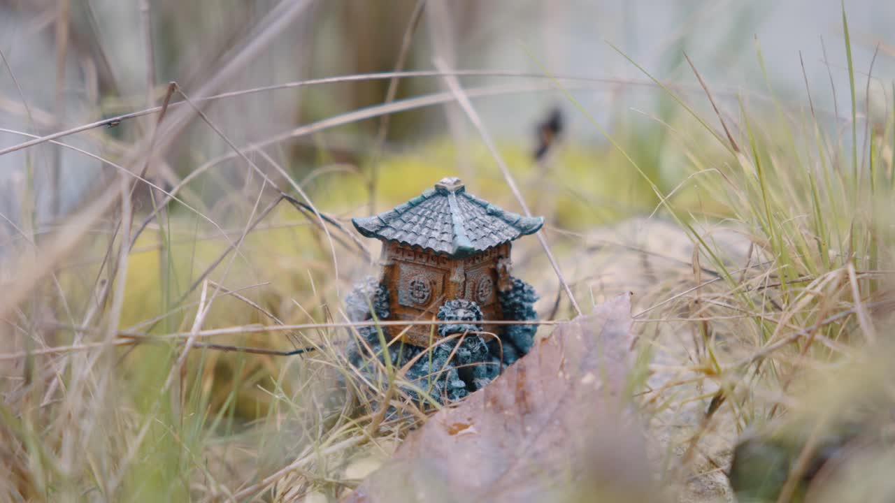 Garden scene with Japanese miniature and pond, representing serenity and cultural beauty.