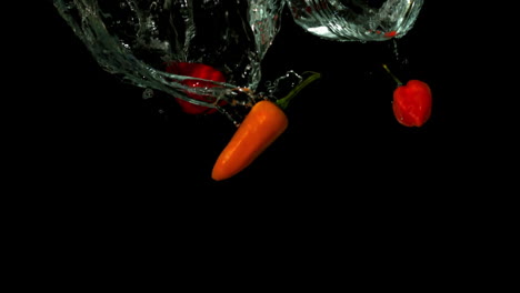 chili peppers falling in water on black background