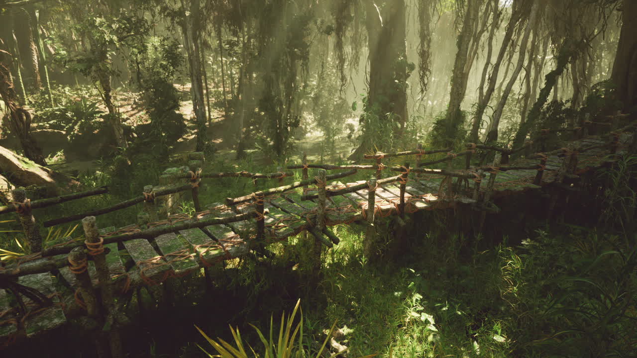 un puente de madera en una selva exuberante