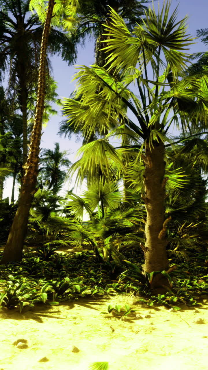Lush tropical landscape with palm trees and sandy beach at sunrise