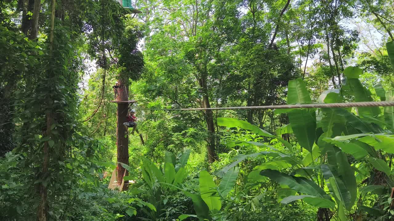 Ziplining through a tropical forest