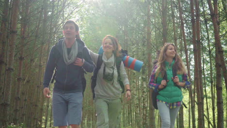 young tourists with rucksacks walking through forest laughing at each other