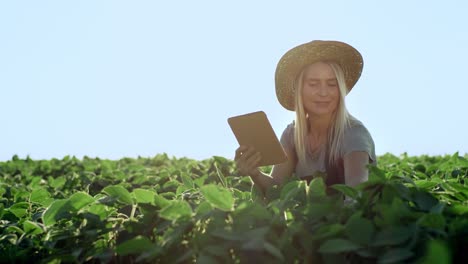 beautiful young woman sitting in the green field and checking harvest and green leaves while watching something on the tablet computer, then smiling to the camera