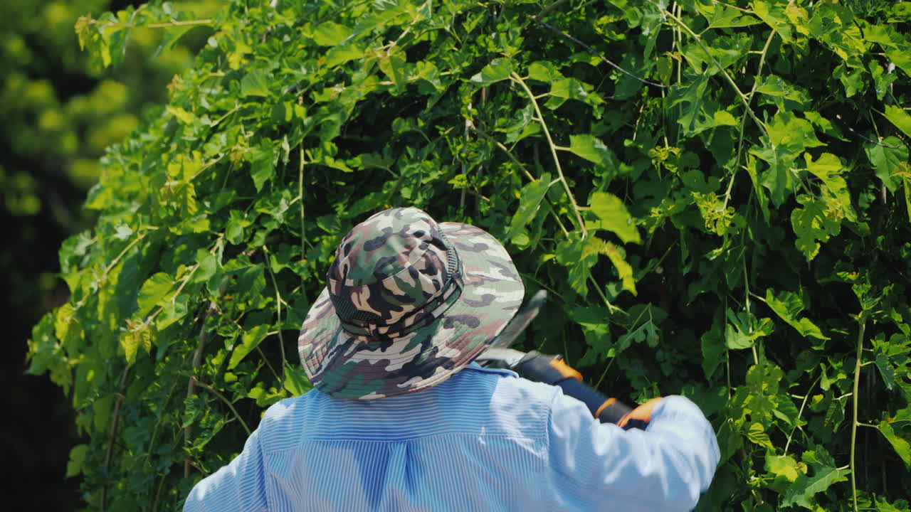 숙련 된 라틴 아메리카 정원사 가지 치기 나뭇 가지 정원 관리