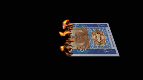burning money