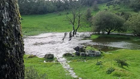 Cámara-Lenta-Saturada-Corriente-Rural-Inundada-Estalló-En-Sus-Orillas-Con-árboles-Sumergidos-Después-De-Una-Tormenta-En-El-Norte-De-Gales