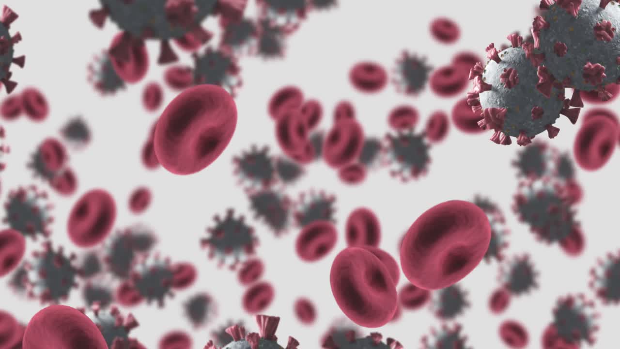 Animazione di macro cellule di Coronavirus Covid-19 che fluttuano in una vena. 4k