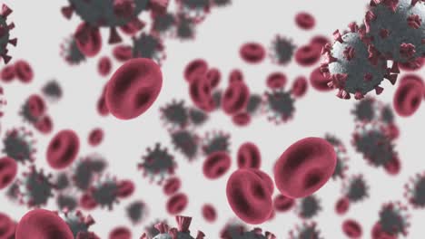animación de células de macro coronavirus covid-19 flotando en una vena. 4k