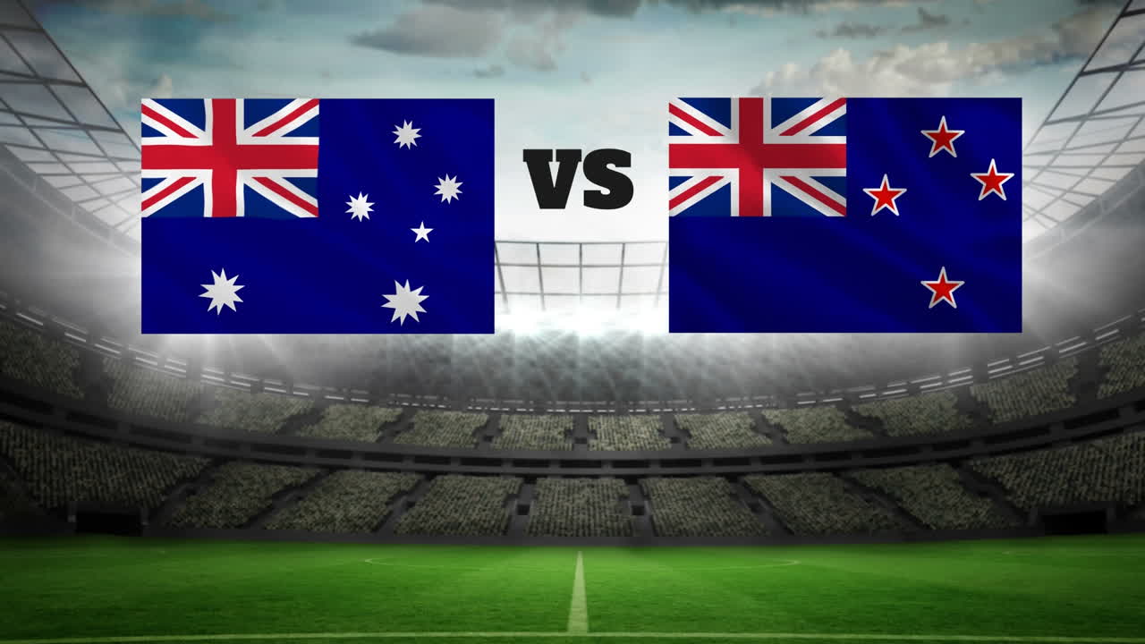 조명 비디오와 함께 애니메이션 축구장