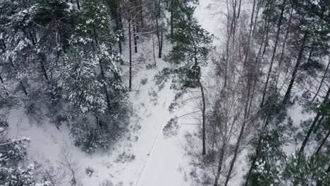 aerial drone view of a 4x4 car driving through snow capped forest at day time