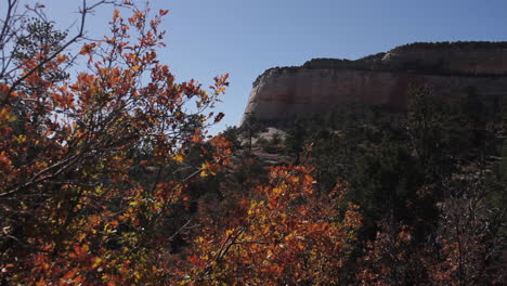 Tiro-De-Carro-De-Paisaje-De-Montaña-En-El-Parque-Nacional-De-Zion