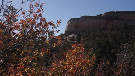 mountain landscape dolly shot in zion national park