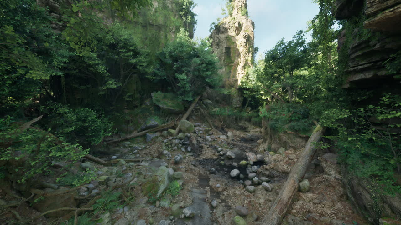 un bosque denso y exuberante con un arroyo que fluye a través de él