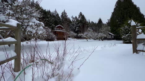 Casa-De-Campo-De-Madera-Enclavada-En-Los-árboles-Después-De-La-Nevada-Del-País-De-Las-Maravillas-Del-Invierno