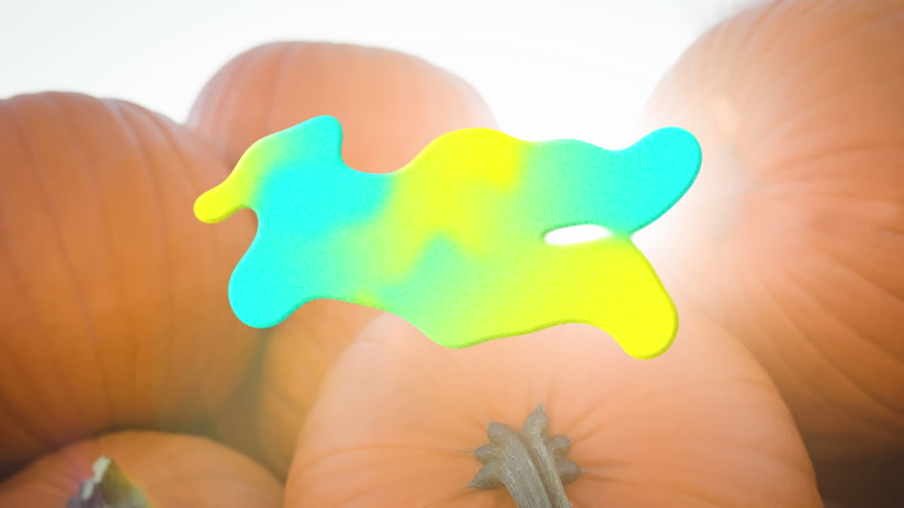 호박  ⁇ 에 파란색과 노란색의 스플래쉬의 애니메이션