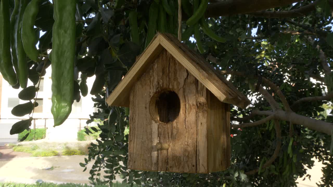 casa de passarinho pendurada em uma árvore