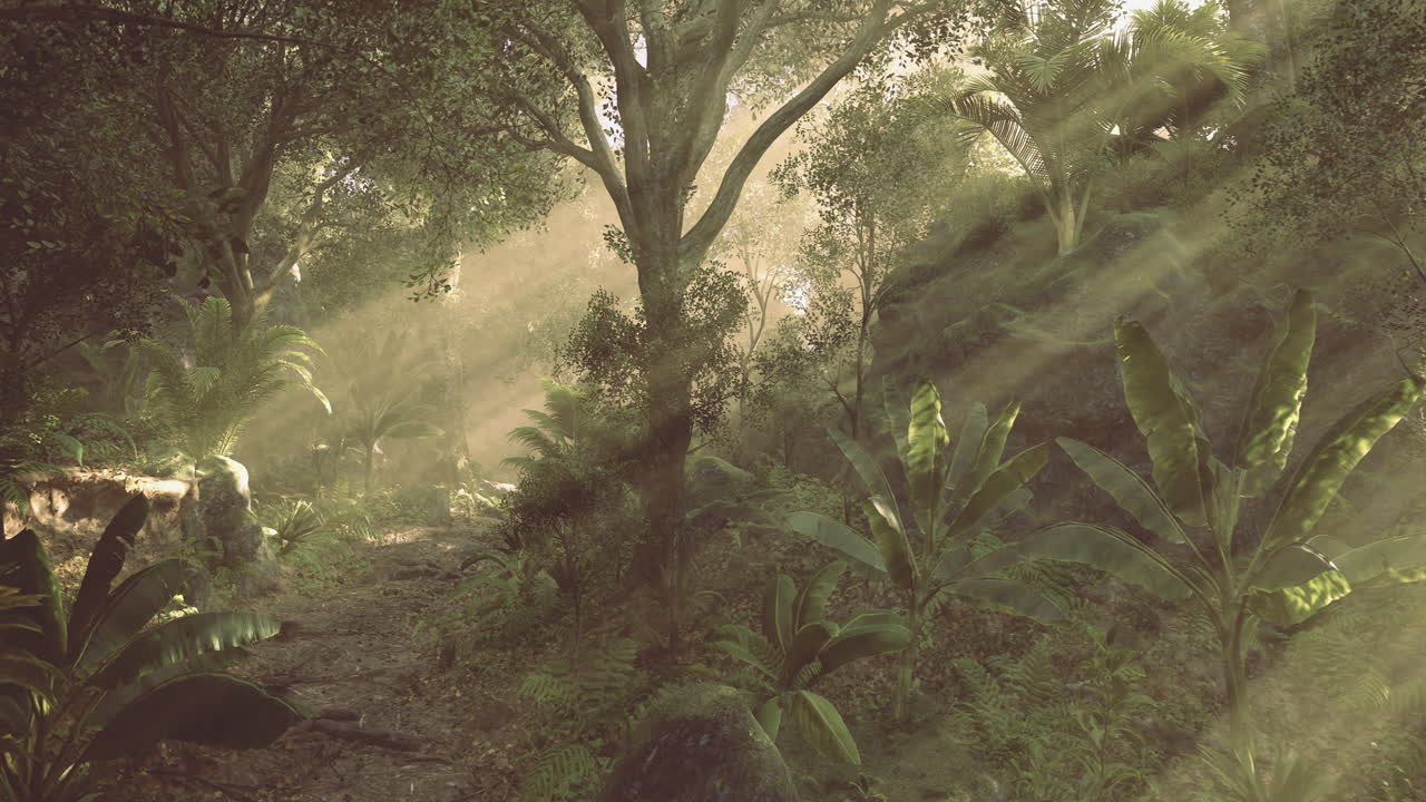 Sunlight filters through trees in a serene jungle landscape at dawn