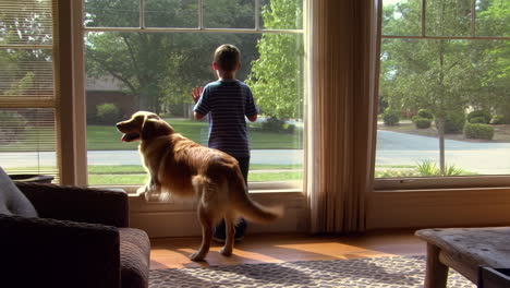 a boy and his dog look out a large window