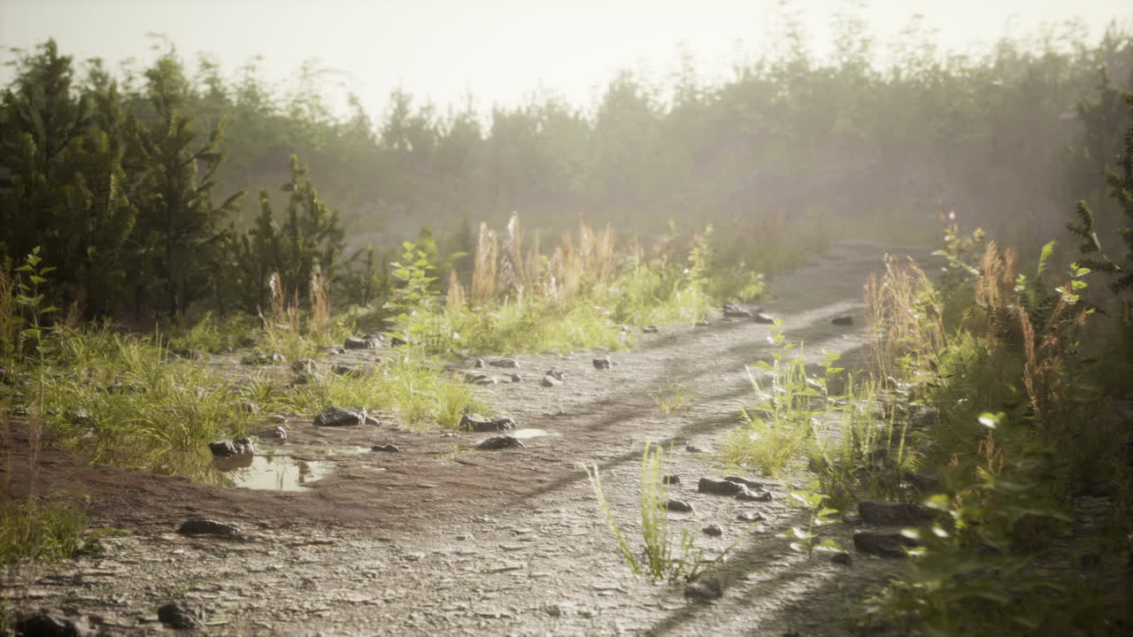 ⁇ 을 가로지르는 지저분한 길