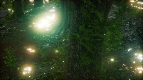 firefly flying in the forest