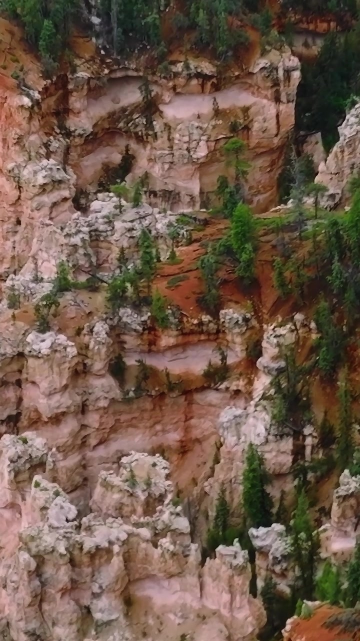 Landscape view of trees and cliffs in Mojave, USA during daytime