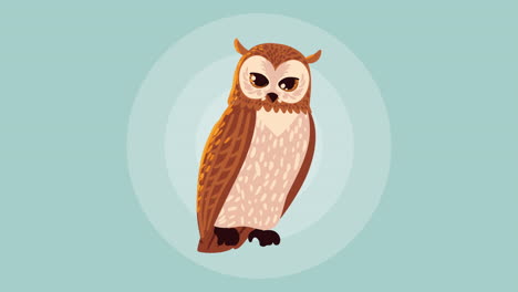 owl animal autumn season animation
