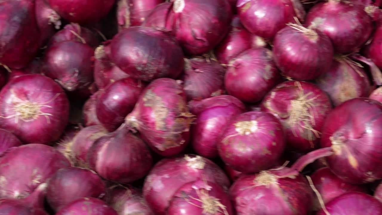 cebolla orgánica fresca de la granja de cerca desde un ángulo diferente