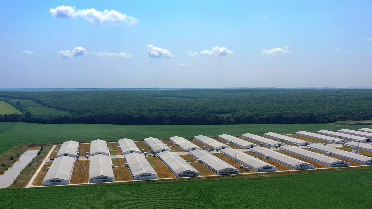 Establishing shot, aerial of family farm with grain bins, chicken house, barn and fields in summer hazy foggy light morning. Farming concept