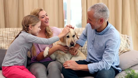 happy family petting labrador on couch