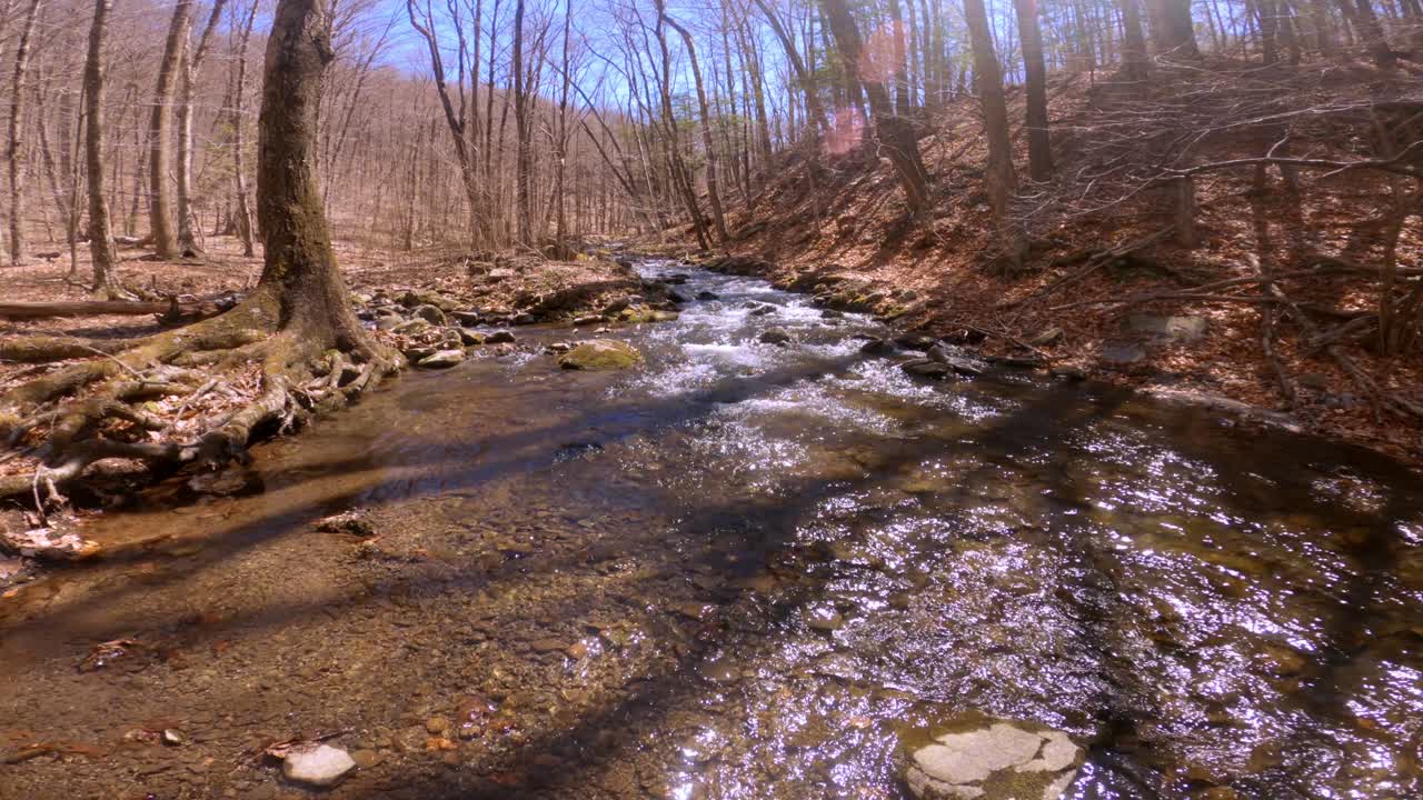 Aliran sungai pegunungan yang indah dan tenang pada awal musim semi, setelah salju mencair, di pegunungan Appalachian.