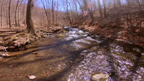 a beautiful, gentle mountain stream during early spring, after snow melt, in the appalachian mountains