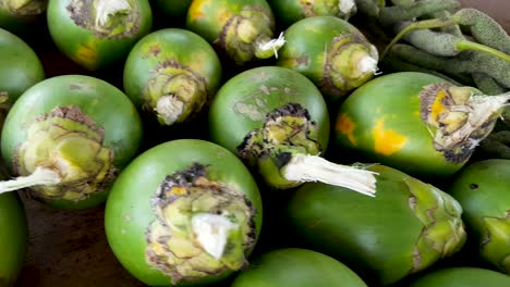 nuez de betel grande también conocida como areca, pinang, buai en la remota isla tropical bougainville, papúa nueva guinea