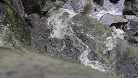 mirando hacia la cascada con rocas mojadas
