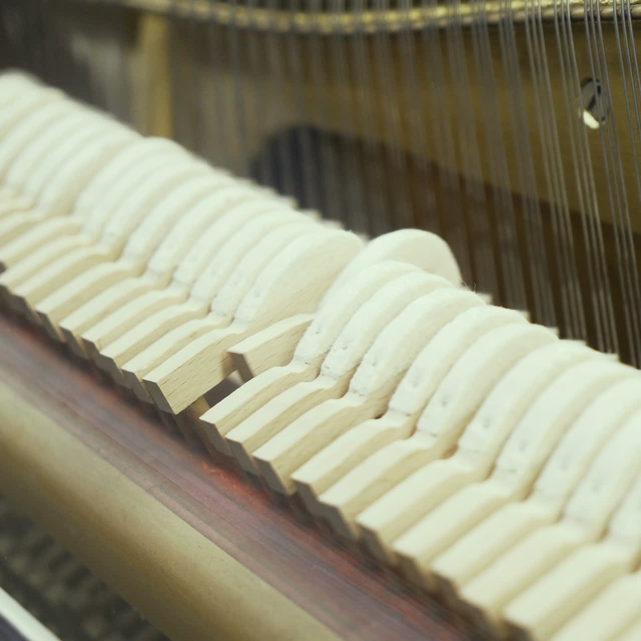 Piano. Principles of the work of musical instruments.