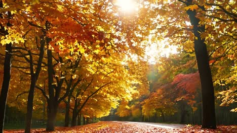 golden fall foliage in the forest