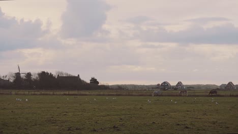 Paisaje-De-Campo-De-Granja-Al-Atardecer,-Caballos-Comiendo-Hierba,-Ameland,-Países-Bajos,-Portátil