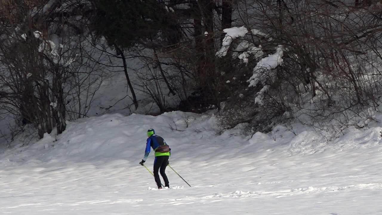 Un uomo corre con gli sci al margine della foresta