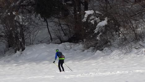 a man runs on skis at the edge of the forest