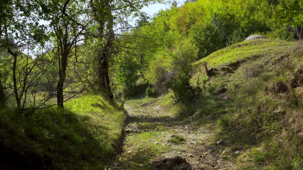 Sentiero circondato da una vegetazione lussureggiante e verde su una montagna remota in Albania