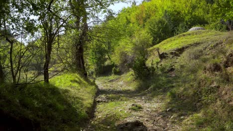 Pathway-surrounded-by-green-lush-vegetations-on-a-remote-mountain-in-Albania