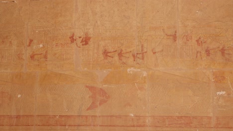 colorful hieroglyphs line the wall of ancient temples and tombs in the valley of the kings and hatshepsut temple