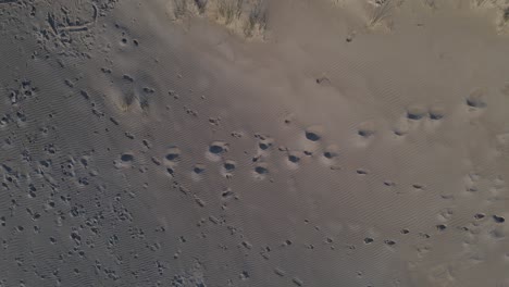 Muchas-Huellas-En-La-Playa-De-Arena-Vacía,-Toma-Aérea-De-Arriba-Hacia-Abajo